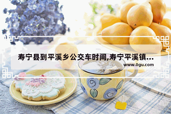 寿宁县到平溪乡公交车时间,寿宁平溪镇历史人物故事