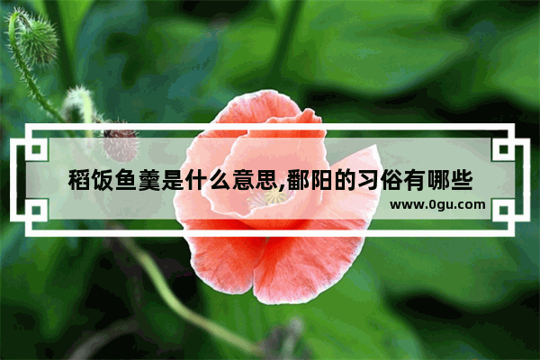 稻饭鱼羹是什么意思,鄱阳的习俗有哪些