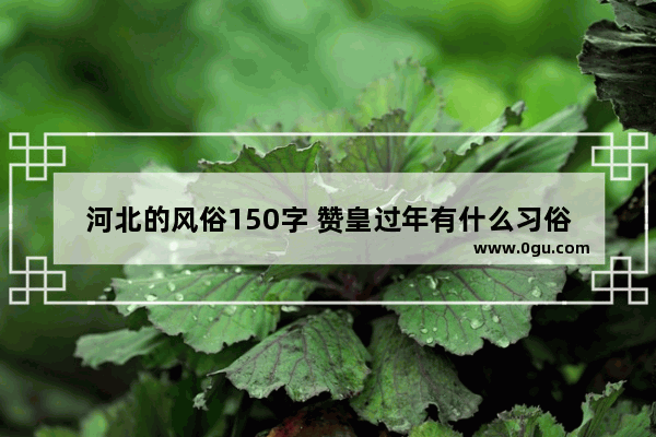 河北的风俗150字 赞皇过年有什么习俗