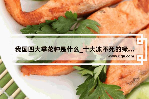 我国四大季花种是什么_十大冻不死的绿植品种