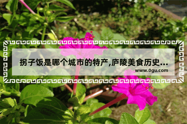 拐子饭是哪个城市的特产,庐陵美食历史文化简介