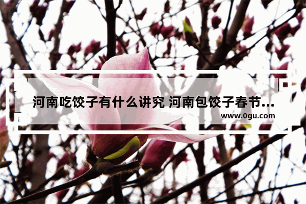 河南吃饺子有什么讲究 河南包饺子春节习俗