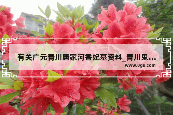 有关广元青川唐家河香妃墓资料_青川鬼校和长藤鬼校哪个恐怖