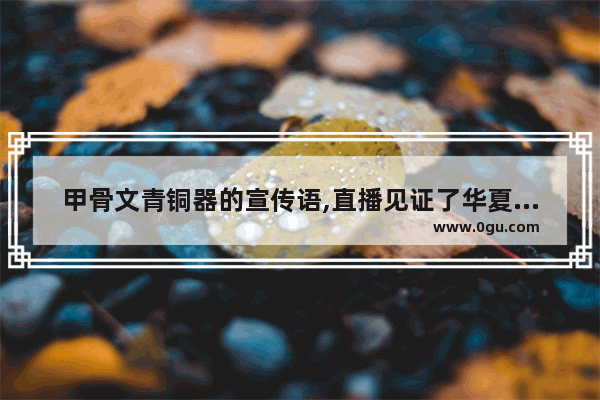 甲骨文青铜器的宣传语,直播见证了华夏历史文化