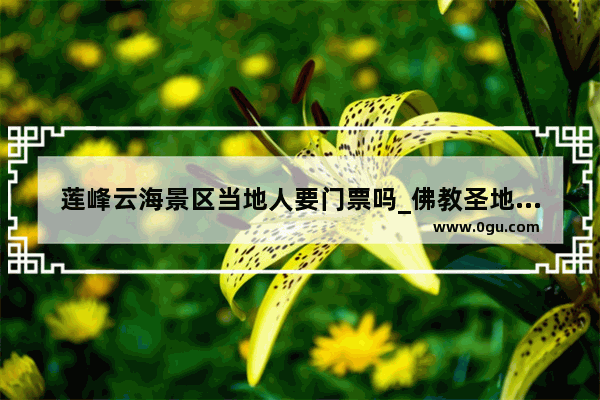 莲峰云海景区当地人要门票吗_佛教圣地四大名山