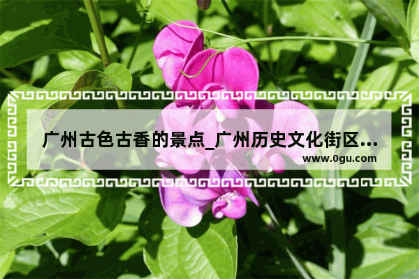广州古色古香的景点_广州历史文化街区的特色