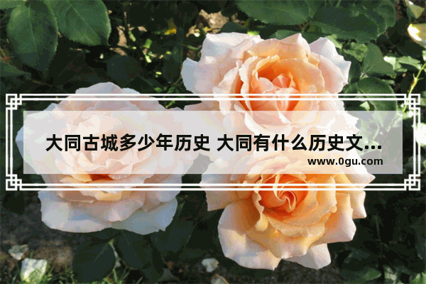 大同古城多少年历史 大同有什么历史文化遗产