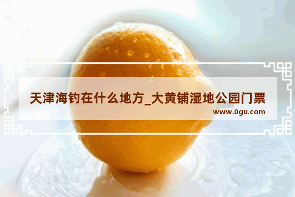 天津海钓在什么地方_大黄铺湿地公园门票