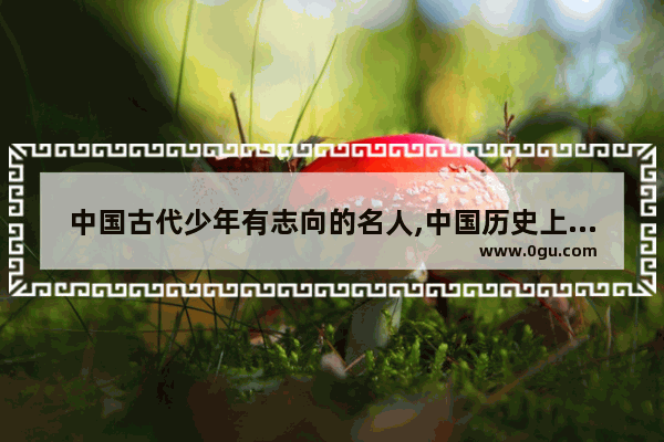 中国古代少年有志向的名人,中国历史上少年名将排名