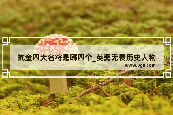 抗金四大名将是哪四个_英勇无畏历史人物