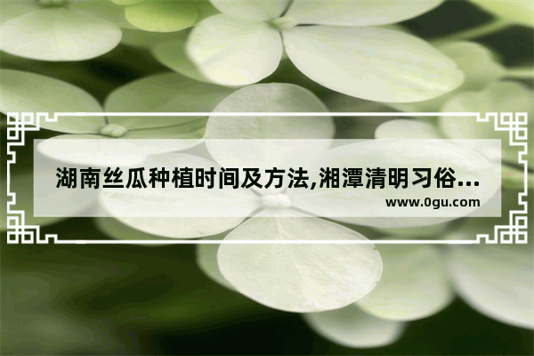 湖南丝瓜种植时间及方法,湘潭清明习俗与禁忌