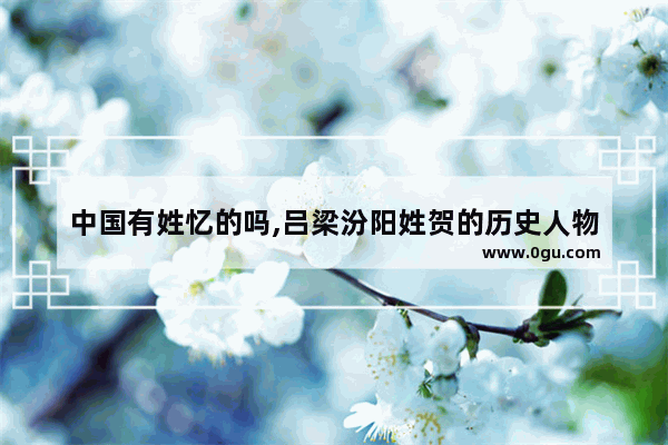 中国有姓忆的吗,吕梁汾阳姓贺的历史人物
