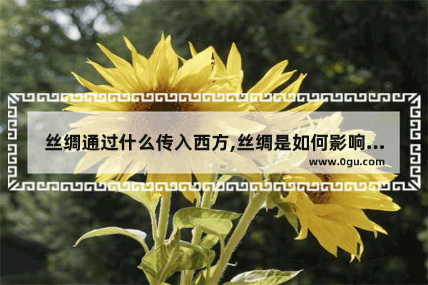 丝绸通过什么传入西方,丝绸是如何影响中国历史的