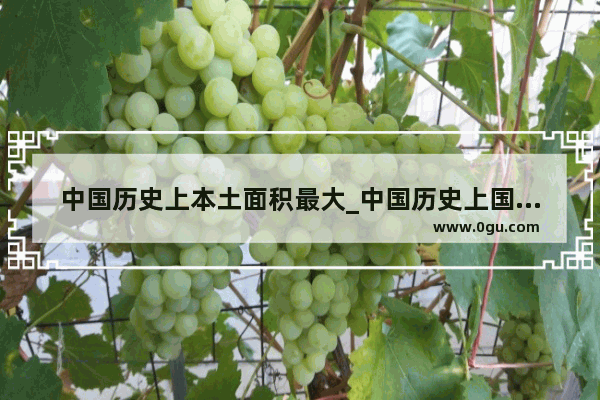 中国历史上本土面积最大_中国历史上国土面积最大的时候是哪个朝代?大概多大