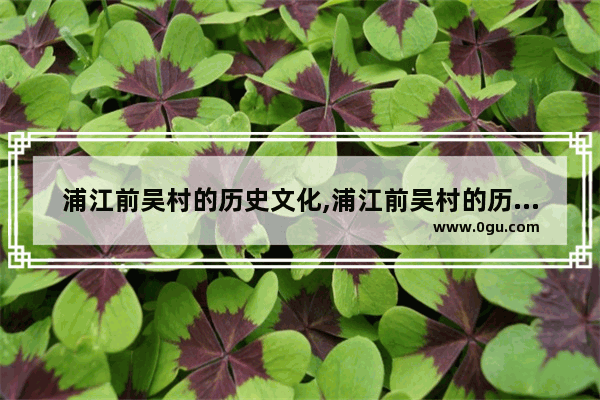 浦江前吴村的历史文化,浦江前吴村的历史文化