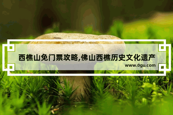西樵山免门票攻略,佛山西樵历史文化遗产