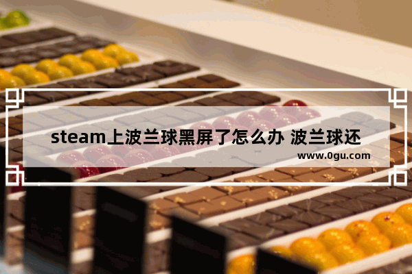 steam上波兰球黑屏了怎么办 波兰球还原世界历史