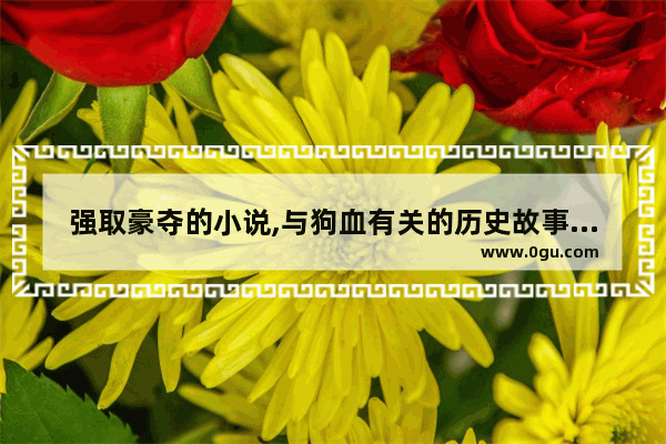 强取豪夺的小说,与狗血有关的历史故事小说