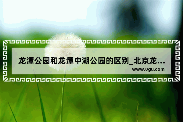 龙潭公园和龙潭中湖公园的区别_北京龙潭中湖公园景点介绍