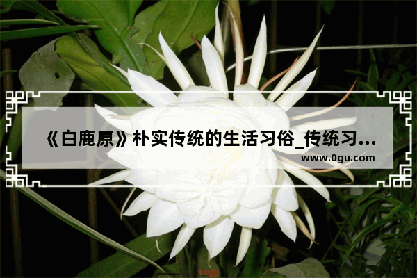 《白鹿原》朴实传统的生活习俗_传统习俗具有哪三个特点