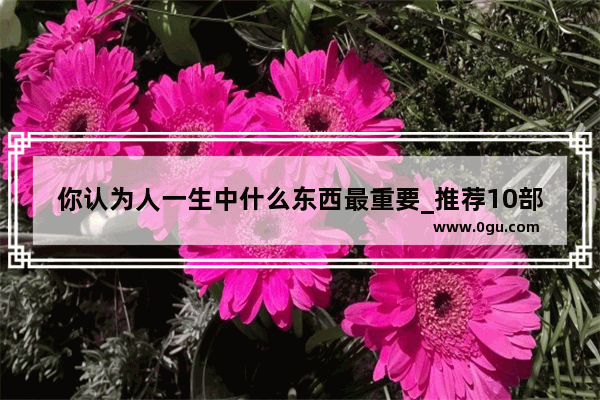 你认为人一生中什么东西最重要_推荐10部超级超级好看的电视剧