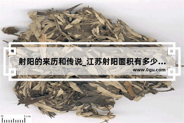 射阳的来历和传说_江苏射阳面积有多少平方公里