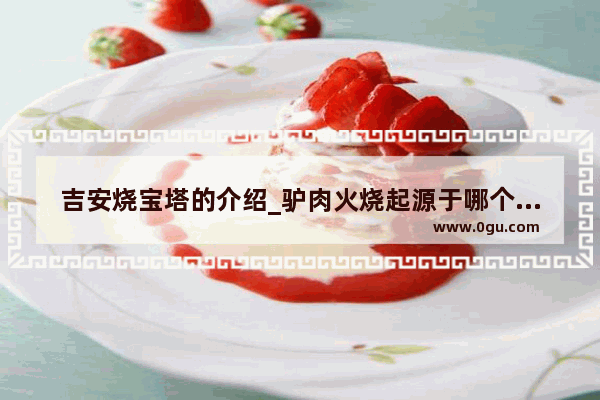 吉安烧宝塔的介绍_驴肉火烧起源于哪个地方