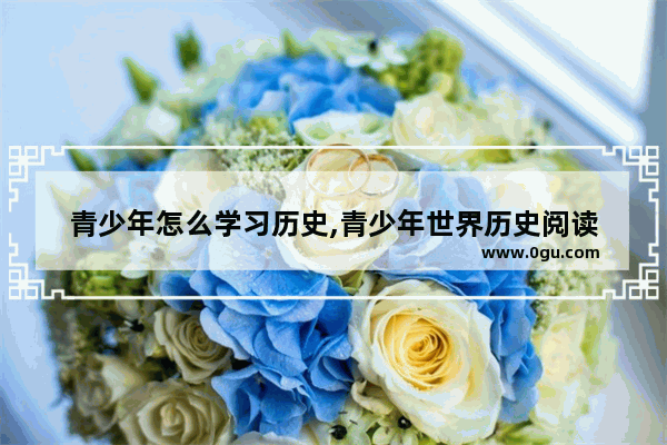 青少年怎么学习历史,青少年世界历史阅读