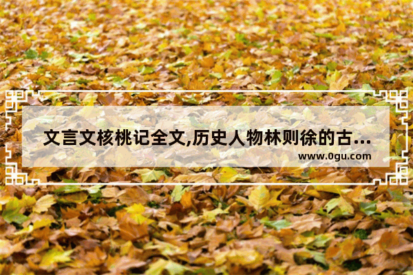 文言文核桃记全文,历史人物林则徐的古文故事