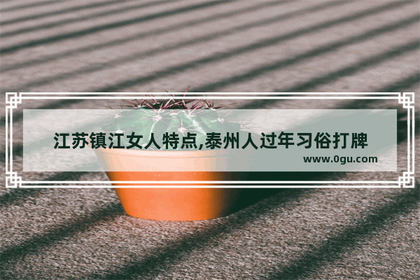 江苏镇江女人特点,泰州人过年习俗打牌