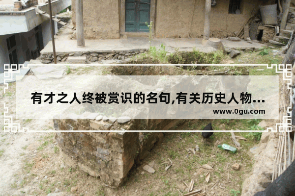 有才之人终被赏识的名句,有关历史人物被重用的诗句
