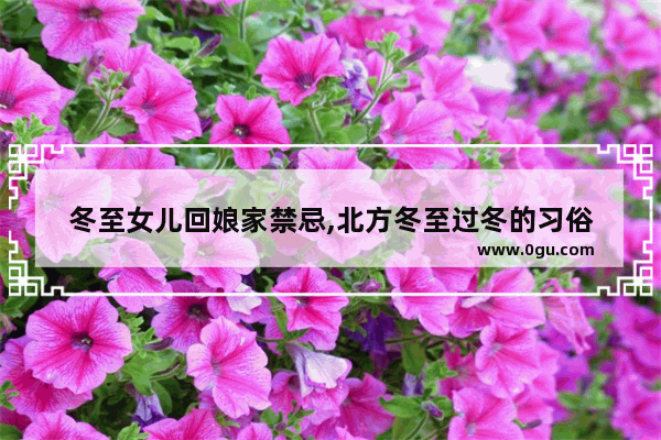 冬至女儿回娘家禁忌,北方冬至过冬的习俗