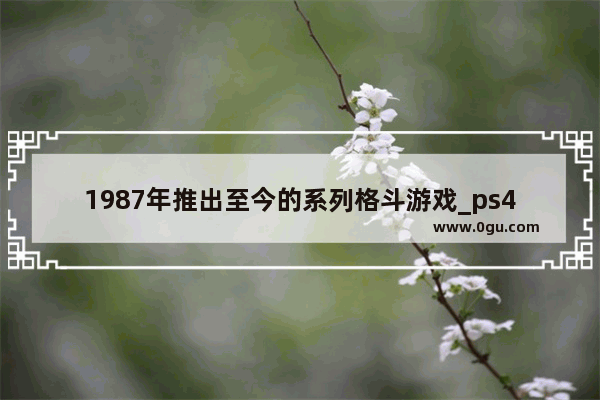 1987年推出至今的系列格斗游戏_ps4十大必玩格斗游戏
