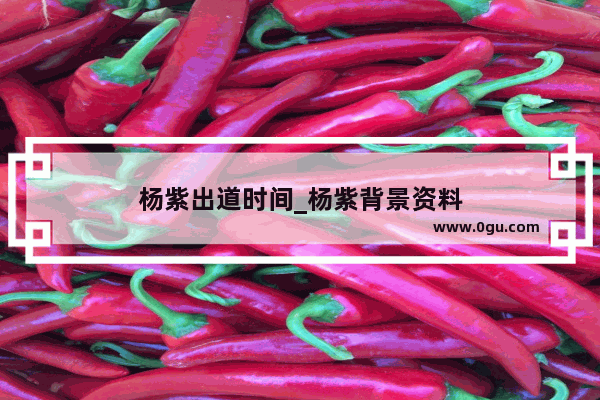 杨紫出道时间_杨紫背景资料