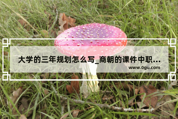 大学的三年规划怎么写_商朝的课件中职版中国历史