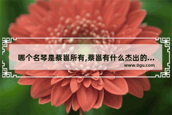 哪个名琴是蔡邕所有,蔡邕有什么杰出的历史人物