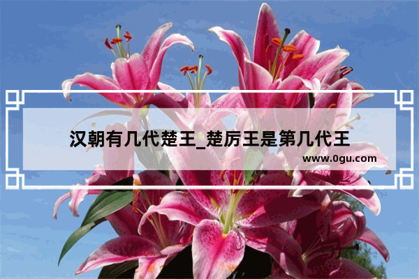 汉朝有几代楚王_楚厉王是第几代王