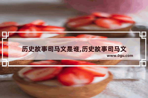历史故事司马文是谁,历史故事司马文