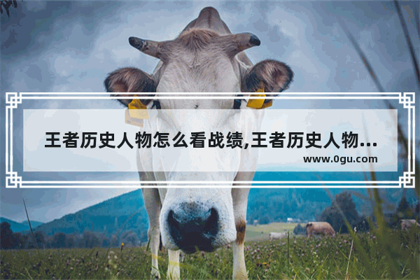 王者历史人物怎么看战绩,王者历史人物怎么看战绩