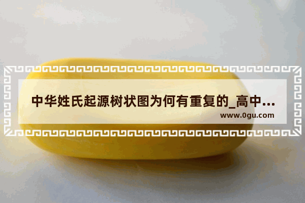 中华姓氏起源树状图为何有重复的_高中怎么学好政治历史地理？我这三科很差 我刚上高中 班级第八 这三科拉了很多分