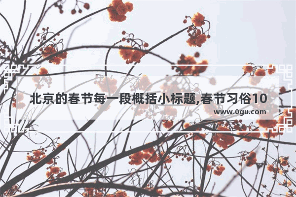 北京的春节每一段概括小标题,春节习俗100字概括