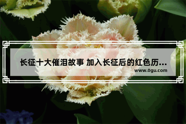 长征十大催泪故事 加入长征后的红色历史故事