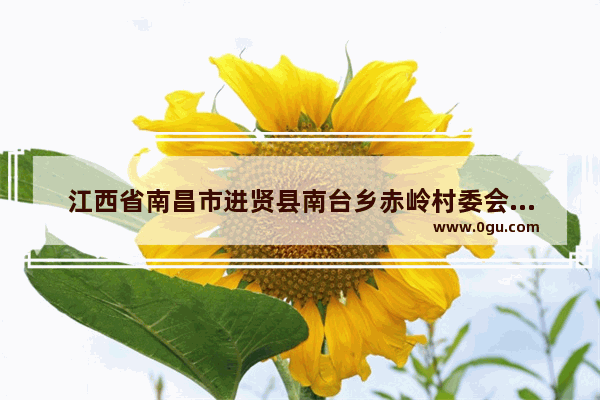 江西省南昌市进贤县南台乡赤岭村委会公墓收费合理吗_南昌行政管理区有哪些