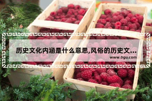历史文化内涵是什么意思,风俗的历史文化内涵有哪些