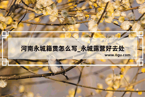 河南永城籍贯怎么写_永城露营好去处