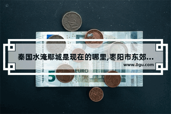秦国水淹鄢城是现在的哪里,枣阳市东郊村历史故事