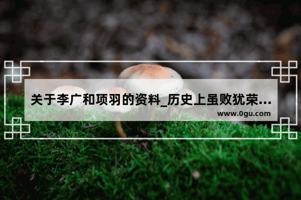 关于李广和项羽的资料_历史上虽败犹荣的名人故事