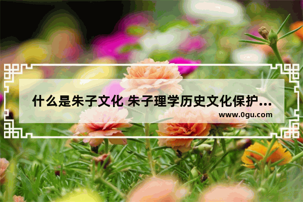 什么是朱子文化 朱子理学历史文化保护项目
