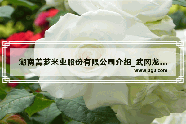 湖南菁芗米业股份有限公司介绍_武冈龙田历史文化简介