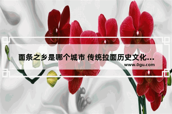 面条之乡是哪个城市 传统拉面历史文化名城